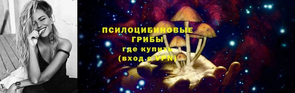 молекула духа Вязьма