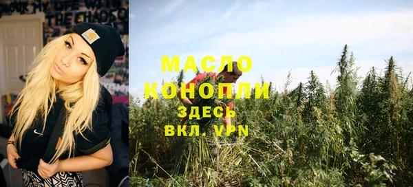 молекула духа Вязьма