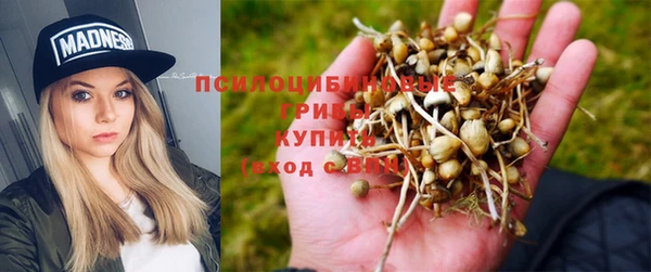 трава Вяземский