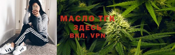 молекула духа Вязьма