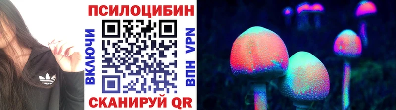 Псилоцибиновые грибы прущие грибы  Домодедово 